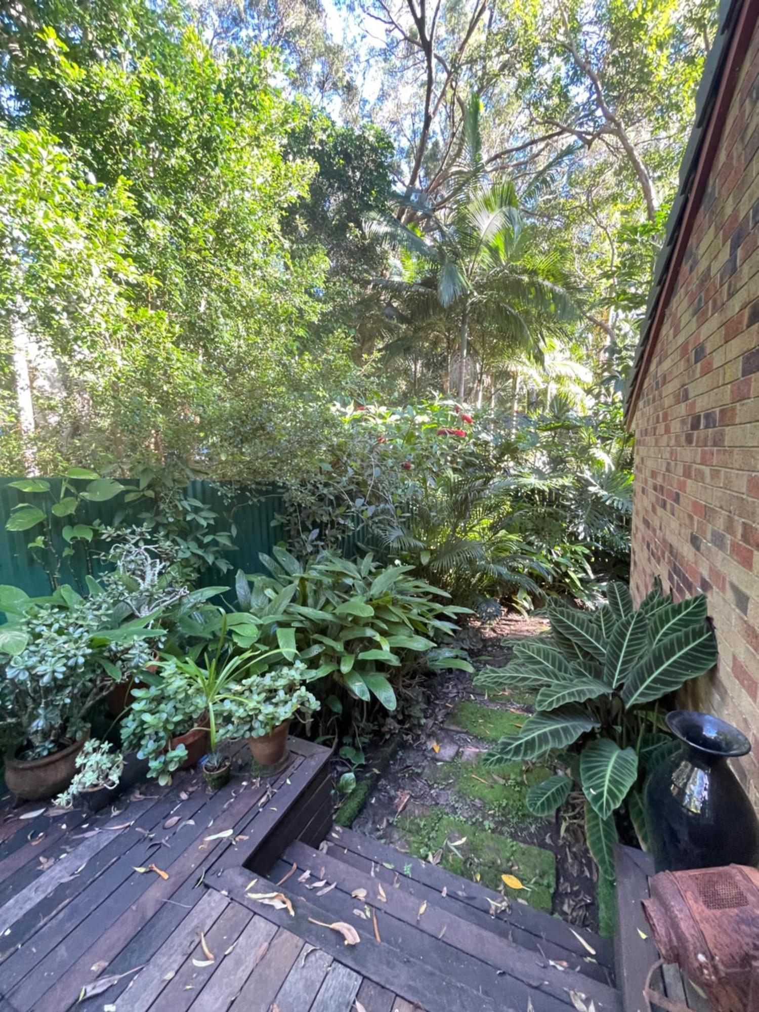 Lilli Pilli Guesthouse Byron Bay Exterior foto